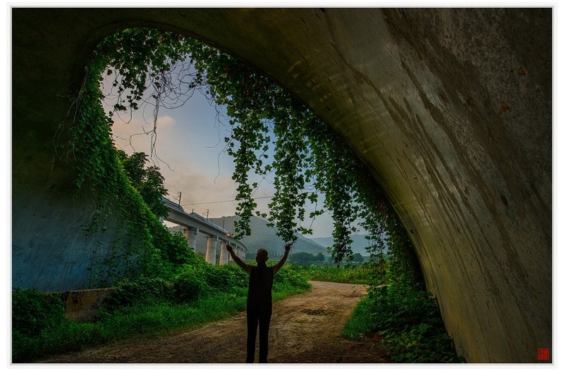 북치고 장구치고