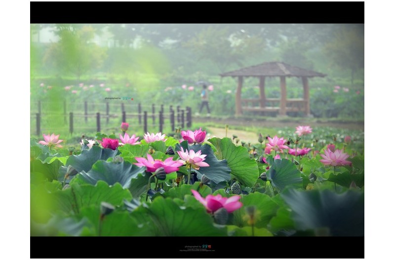 20220729# 이른아침에...