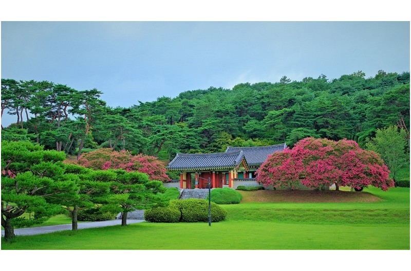 표충사 배롱나무 일품