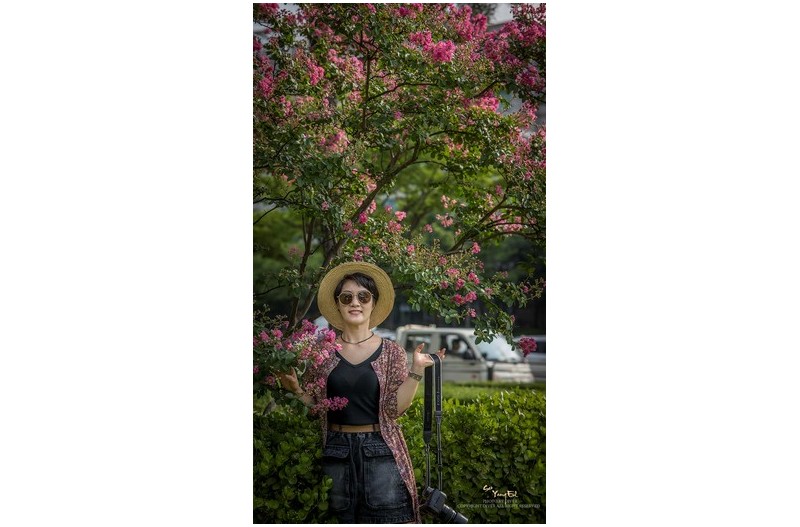 도심속의 베롱꽃밭에서