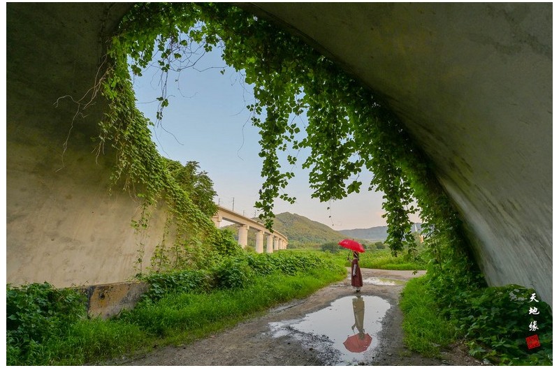 요즘 많이 찿는곳
