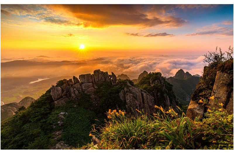 원추리꽃이 있는 풍경