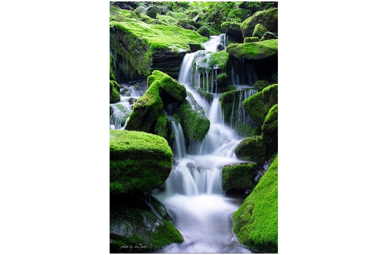 장전리 이끼계곡