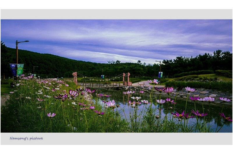 가을이 오는 길목에서 ----