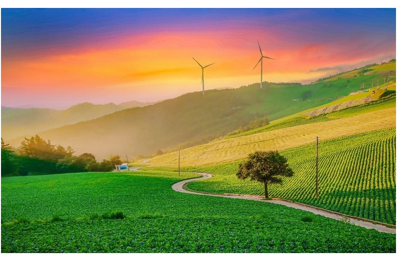 매봉산 전망대에서..