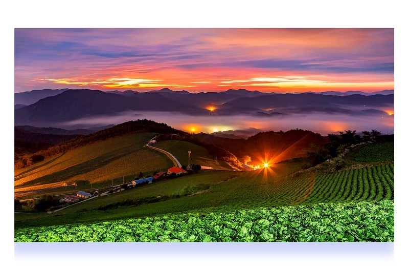 안반데기 새벽풍경