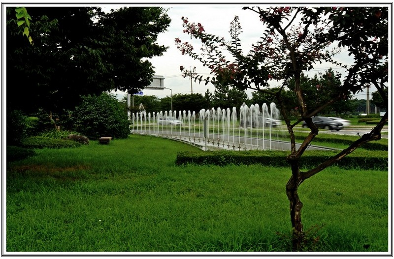 로타리 옆 분수