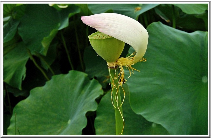 책임 을 완수 한 연