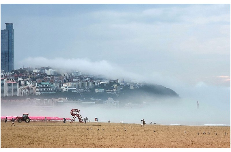 해운대이모저모