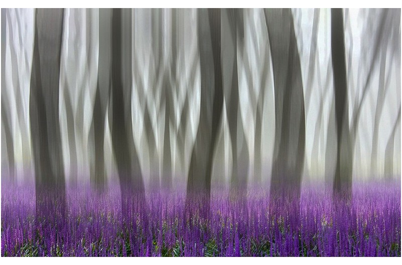 보라보라하던날