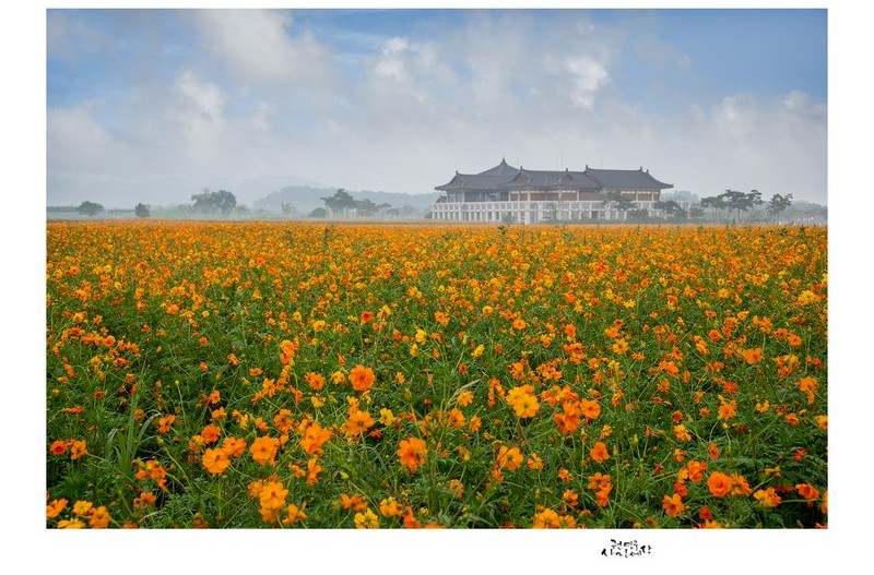 황룡사지의 황화