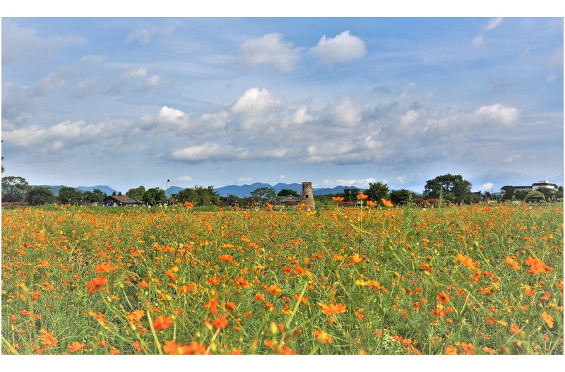 첨성대 가보이는 풍경