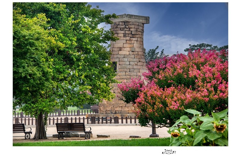 여름에 찾은 첨성대