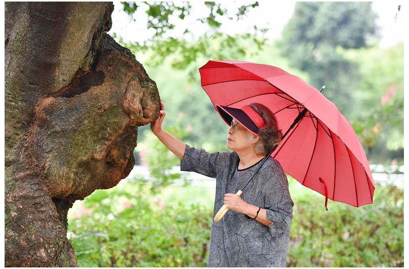 함께한 아침산책