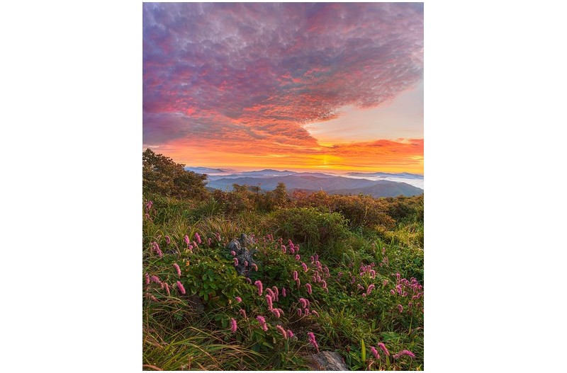 덕유평전의 여름