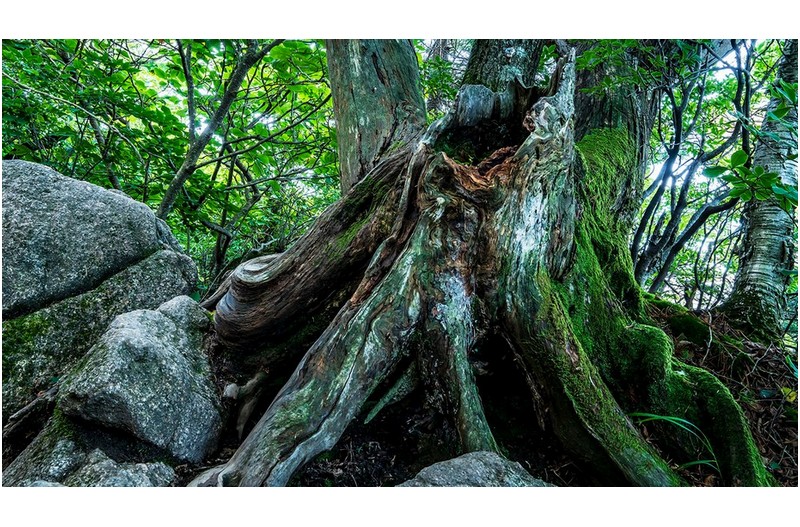 여명~ 우리 집 앞마당