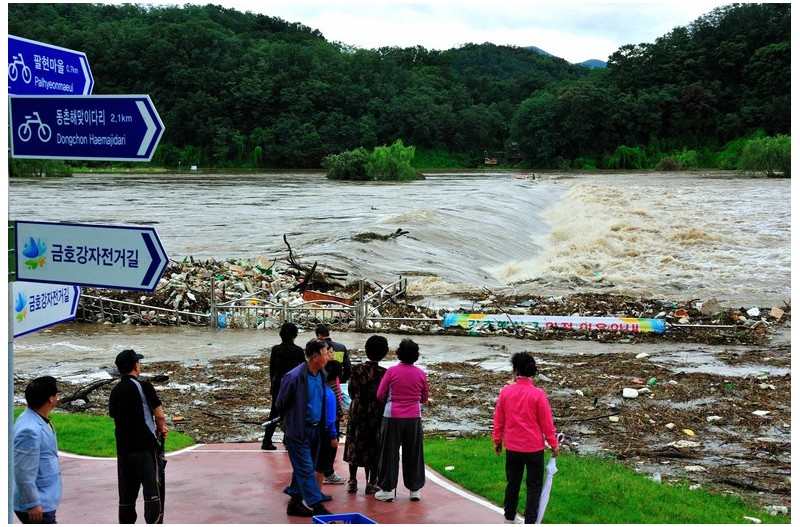 태풍이 지난자리