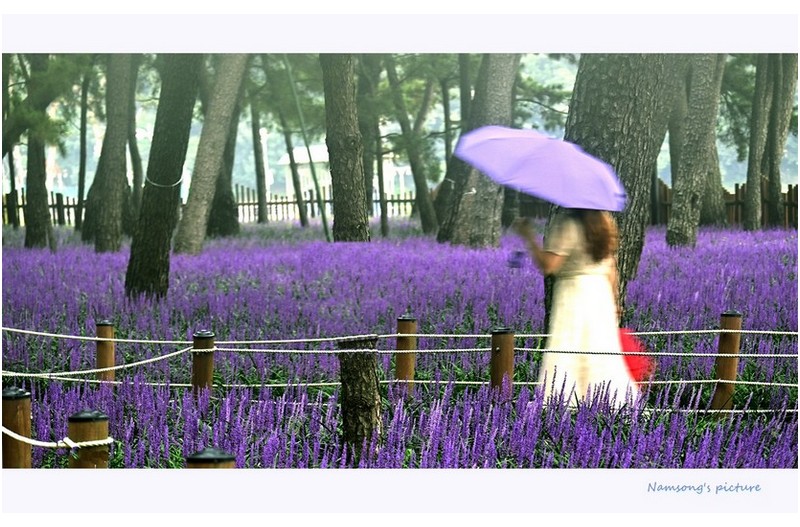 가끔 비가 내리던 날의 아침 -----