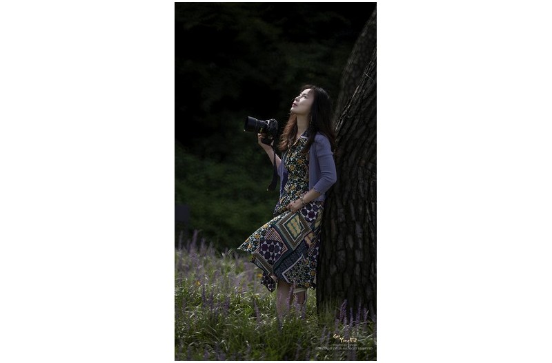 노송지대 에서...