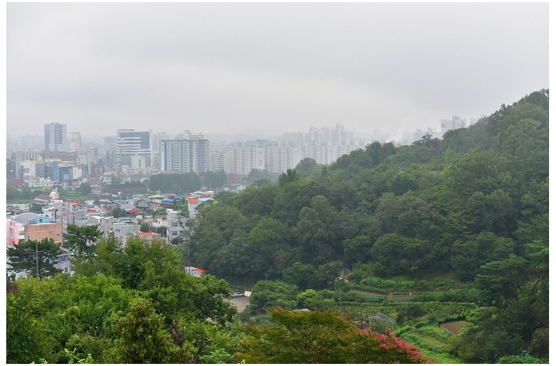 망진산 가는 길