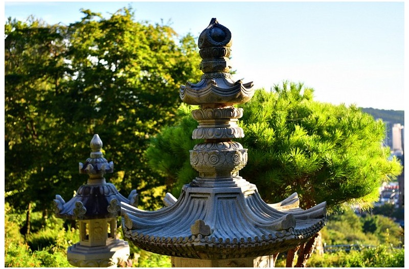 9월 첫날 아침산책