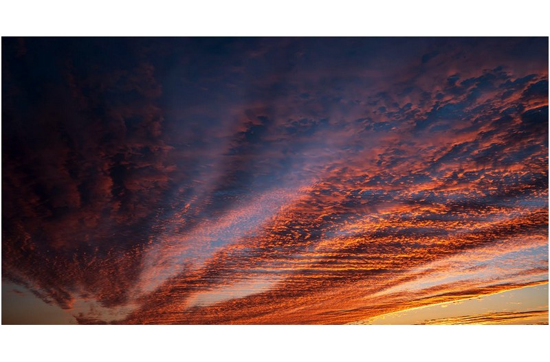 우리 집 앞마당에서 바라본 풍광