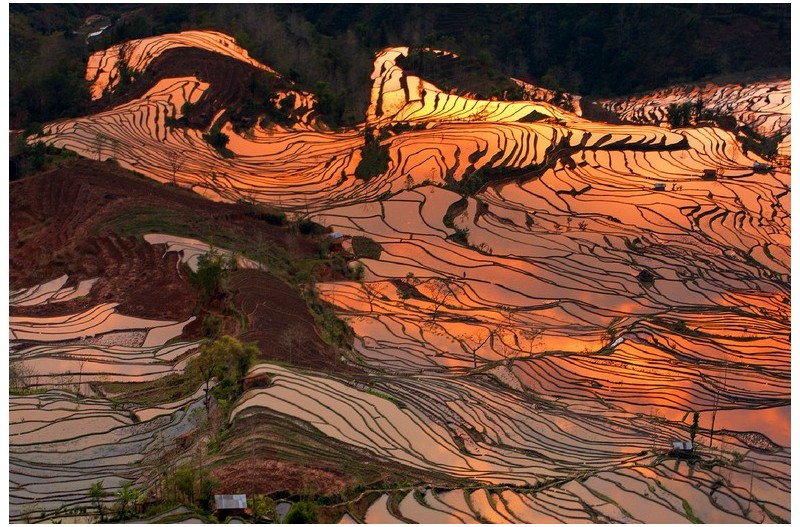 노을빛 다랭이논