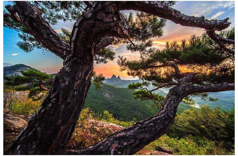 소낭구와  마이산