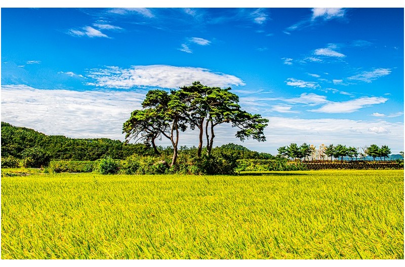 가을이 익어가는중