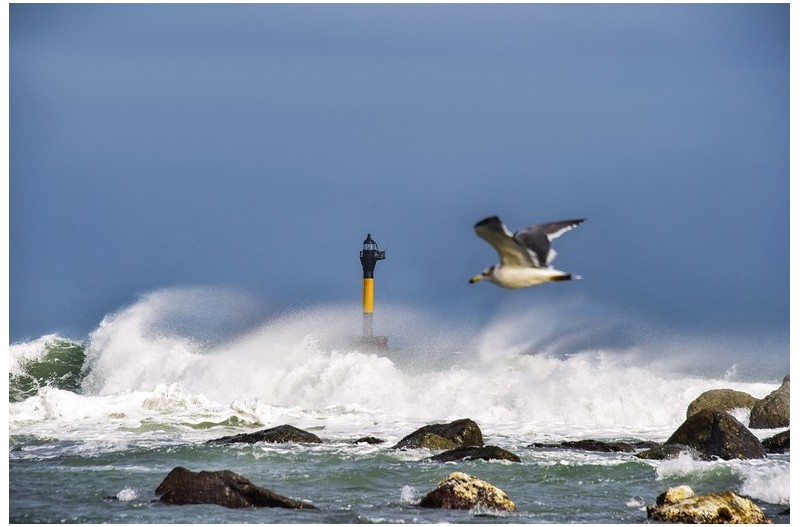 파도 그리고 .....