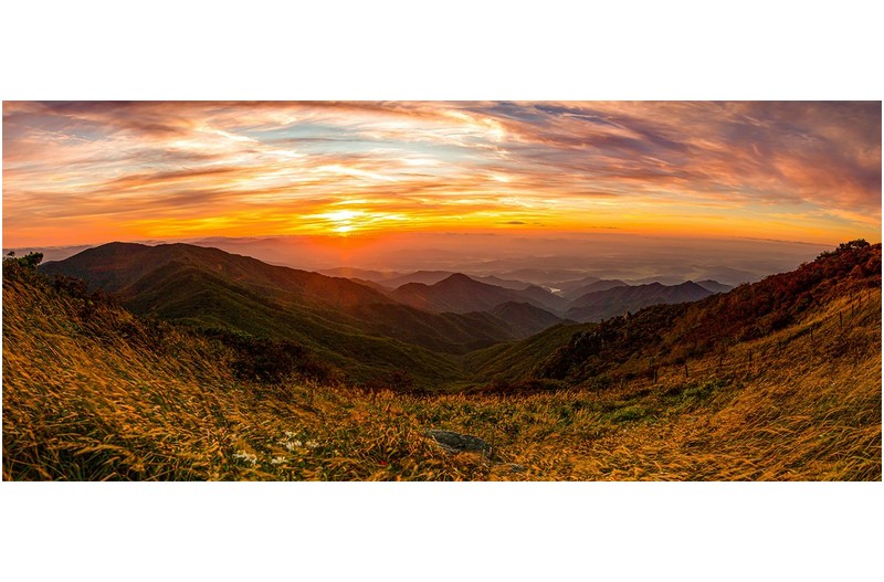 소백의 바람속에