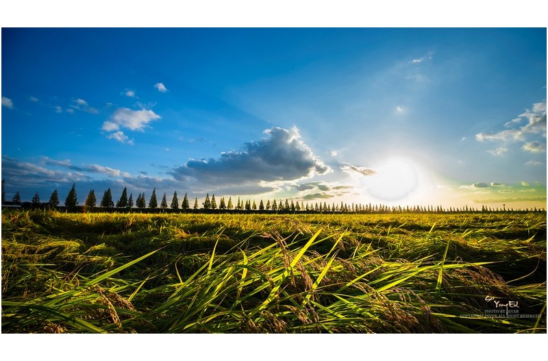 가을로 가는 길목 에서