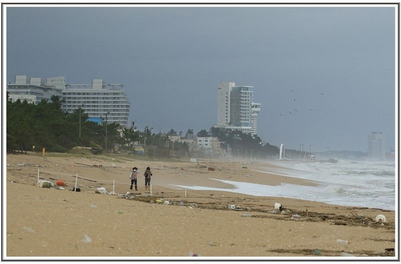 태풍 이 지난뒤