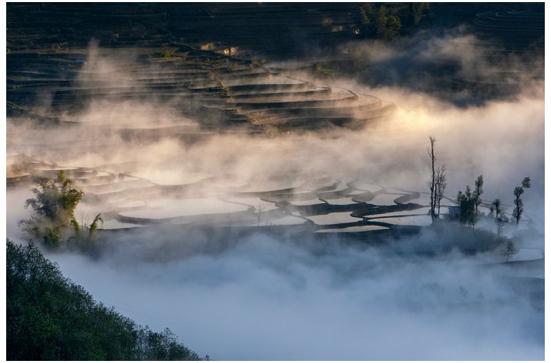 운무속 다랭이논