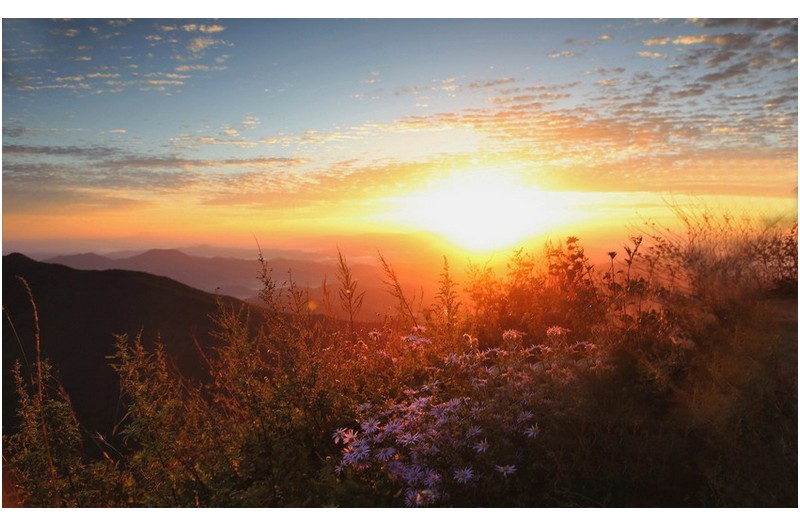 오도산 아침풍경