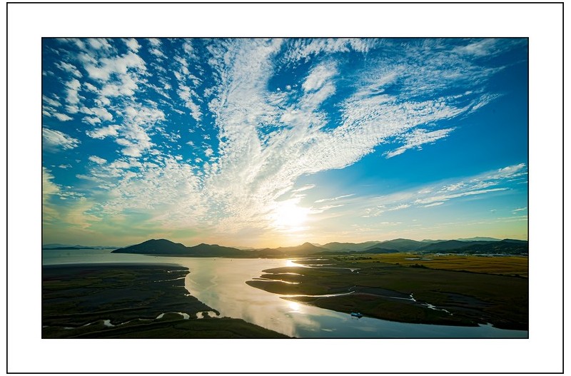 순천만의 오후,,