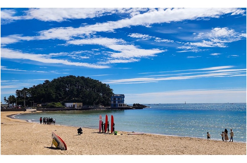 가을 가을 합니다.