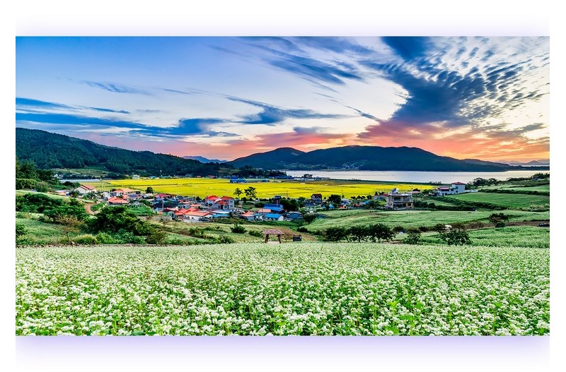 메밀꽃 필 무렵