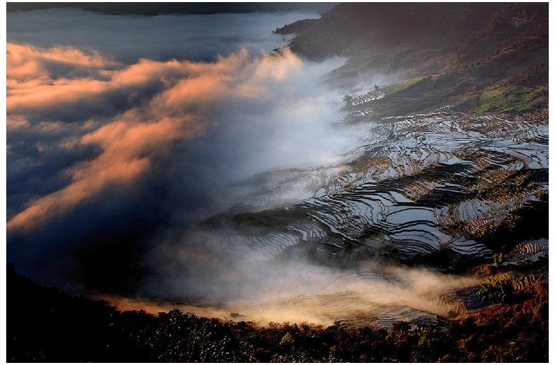 운무속 다랭이논