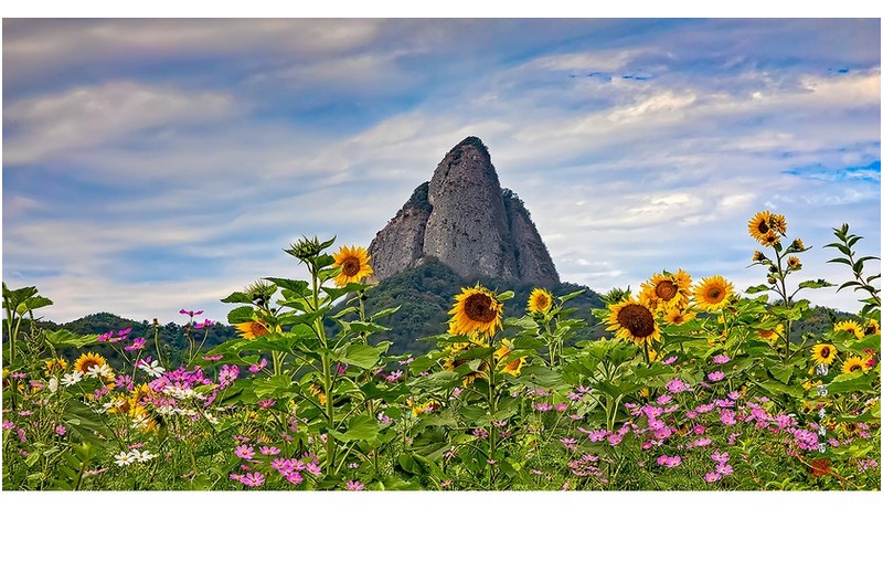 마이산도 가을 준비