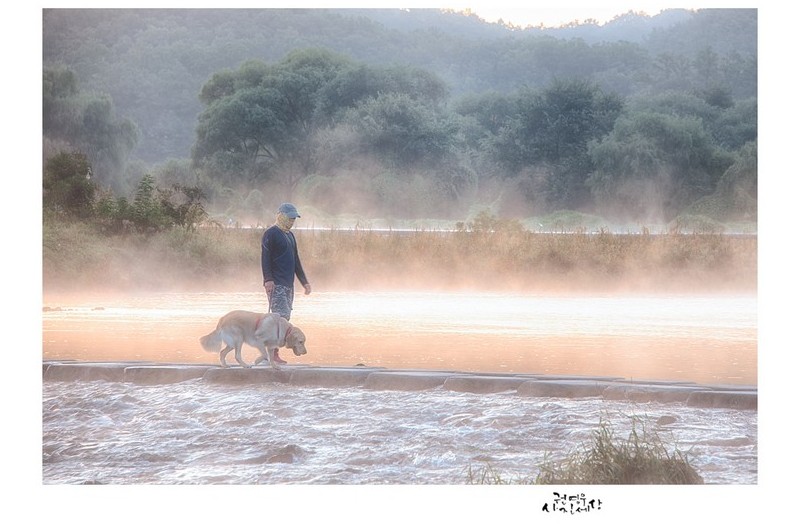 징검다리 아침