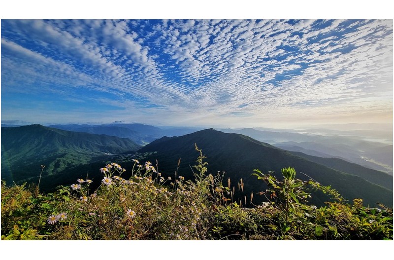 오도산 내려오며