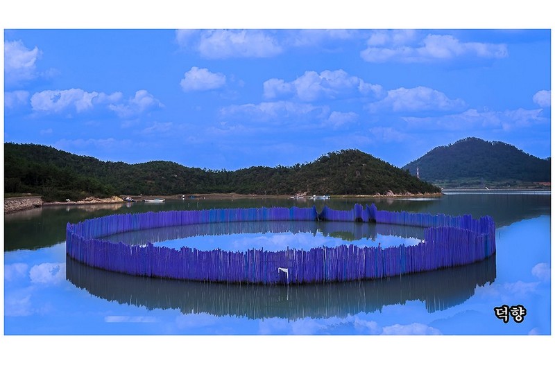 안좌도 낙지양식장