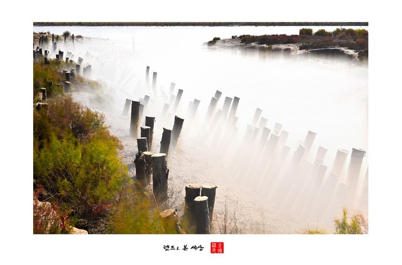 갯골에 물이들어오면