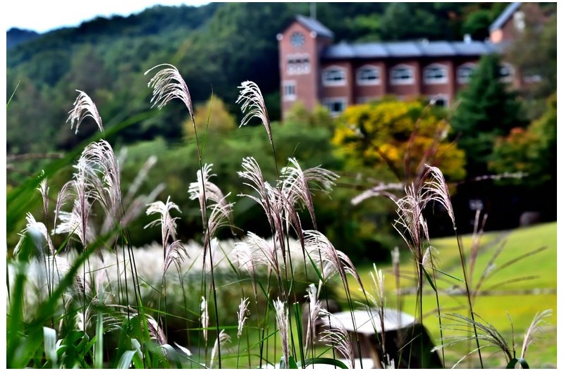 피정의 집 추색