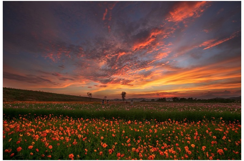 노을 물드는 뚝방에서