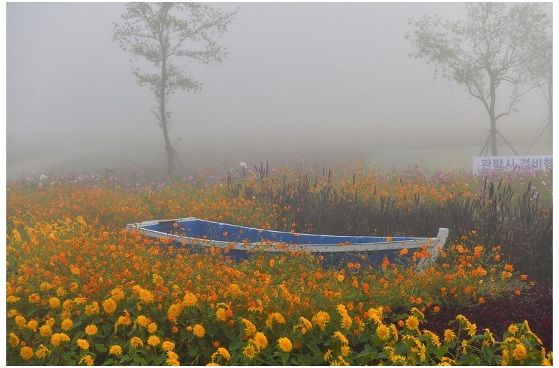 안개 자욱한 둑방