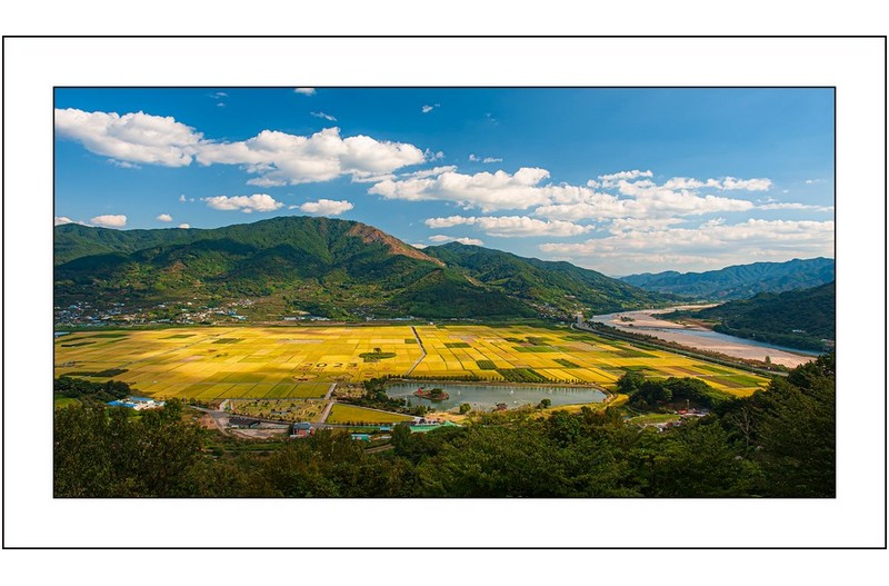 평사리의 가을,,