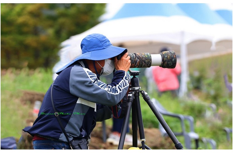 울산서 사진 젤로 잘찍는 사람   ㅡㅡㅡㅡㅡㅡㅡㅡㅡㅡㅡㅡ