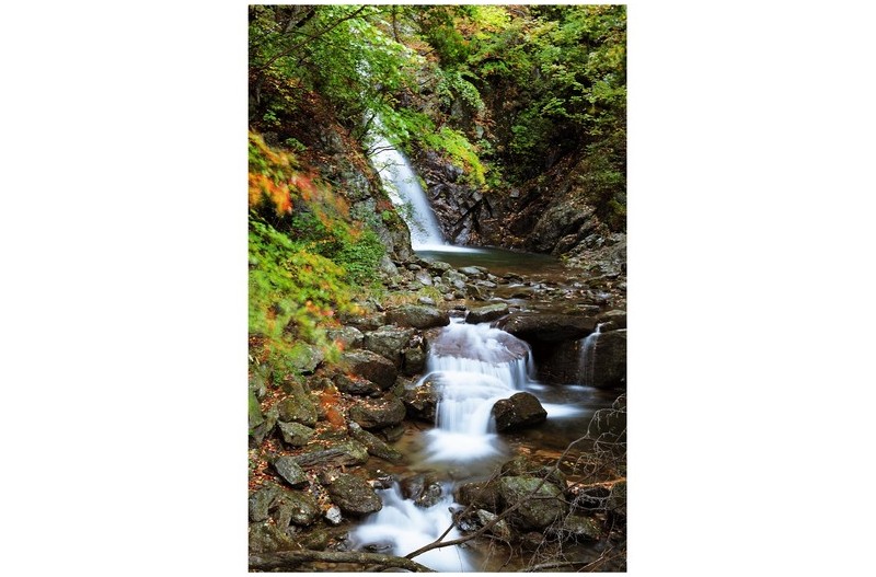 희방사 단풍현황